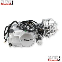Motor 125cc Euro5 per Skyteam T-Rex Bilder 1