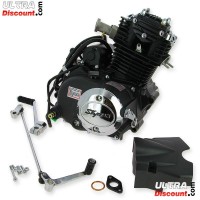 Motor 50cc vertical (139FMA-2) per Skyteam ACE Bilder 1