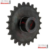 Pignone a 23 denti per Quad Shineray 250cc ST-9C Bilder 1