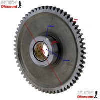 Pignone scatola cambio per Quad Shineray 250ST-9C (59 denti)