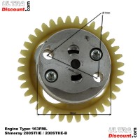 Pompa olio per Quad Shineray 200cc STIIE (163FML) Bilder 2