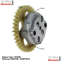 Pompa olio per Quad Shineray 200cc STIIE (163FML) Bilder 3