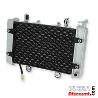 Radiatore per Quad Shineray 250 cc Racing ST-9E Bilder 3