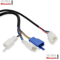 Kit presa acceleratore elettrico Citycoco Shopper Bilder 1 Kit presa acceleratore elettrico Citycoco Shopper Bilder 1