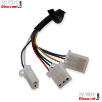 Kit presa acceleratore elettrico Citycoco (Alu) type5 Bilder 1
