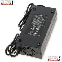CARICABATTERIA 48V 2A model JN-48 per Mini Citycoco Bilder 1