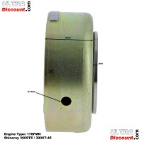Volano magnetico per Quad Shineray 300cc STE - St-4E Bilder 3