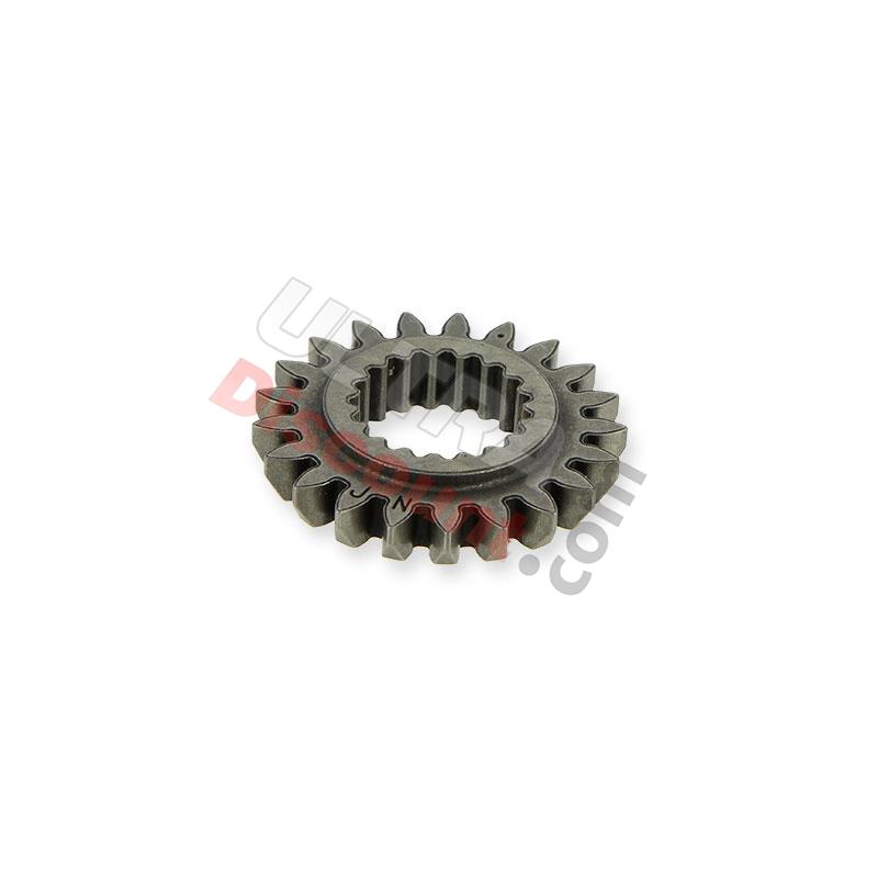 Pignone pompa dell'olio per motore Spy Racing 250 F3, Ricambi Quad SPY250F3