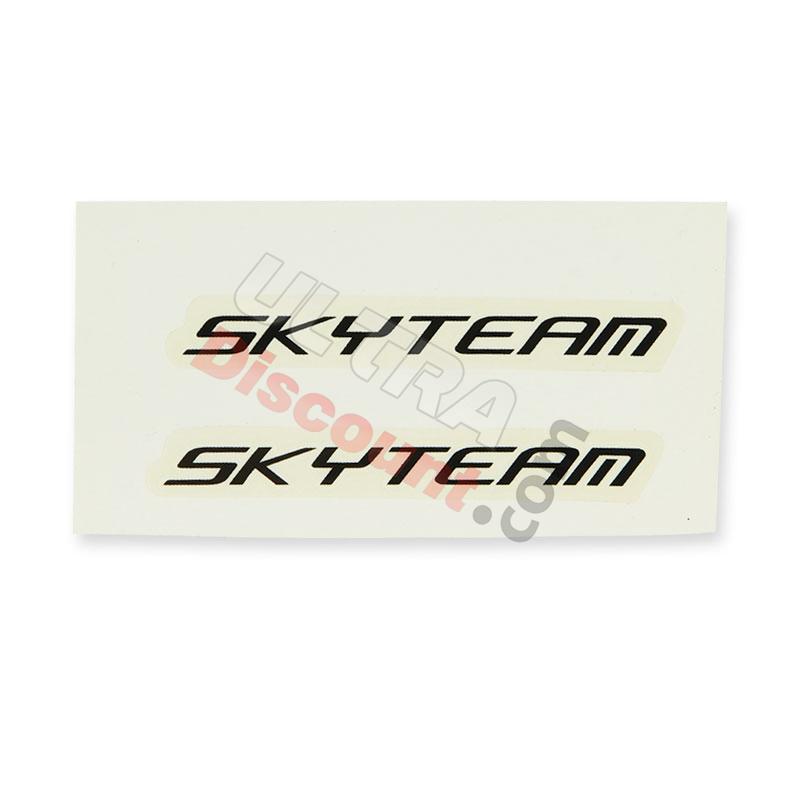 Adesivo SkyTeam x2 (bianco-nero), Ricambi Dax Skymax