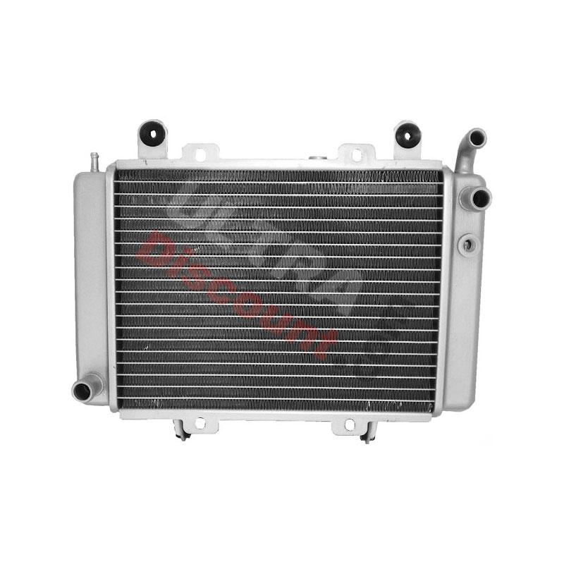Radiatore per Quad Shineray 300cc ST-5E , Ricambi Quad Shineray 300