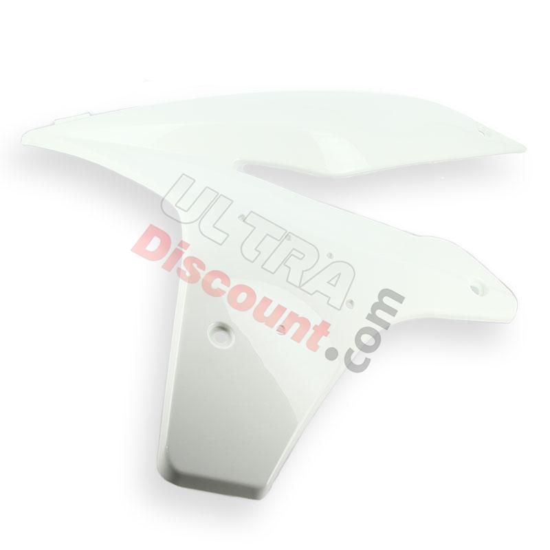 Carena parte sinistra per Quad Shineray 250cc STXE - BIANCO, Ricambi Shineray 250 STXE Carena parte sinistra per Quad Shineray 250cc STXE - BIANCO, Ricambi Shineray 250 STXE