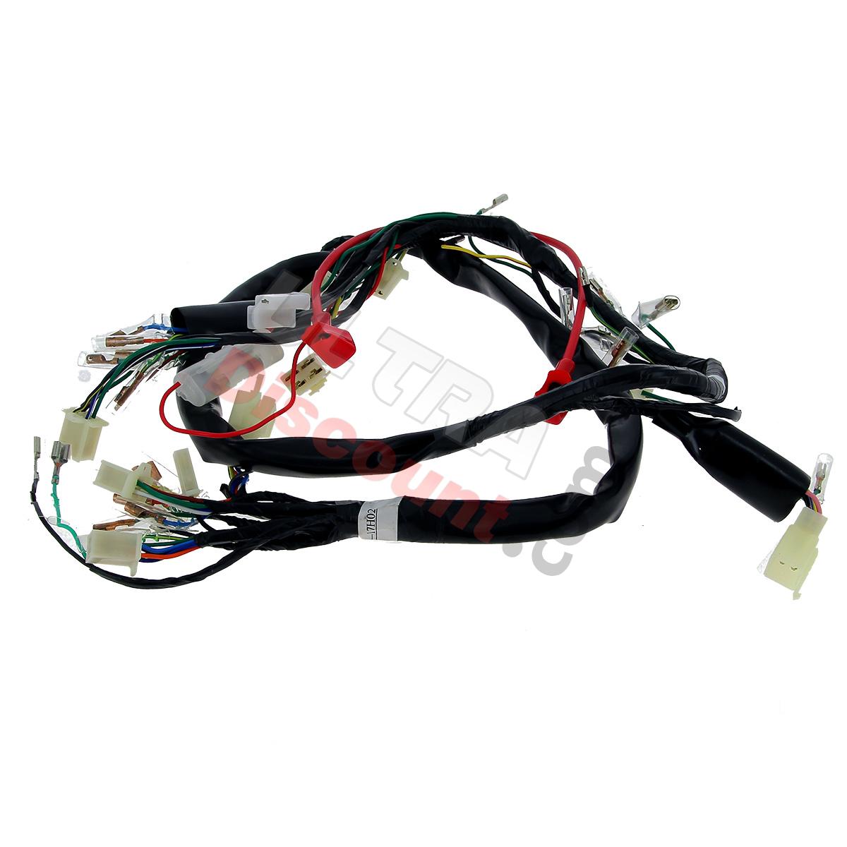Cablaggio elettrico 36610-17H02 per Skymax 50cc 125cc (dopo 10-2015), Ricambi Dax Skymax