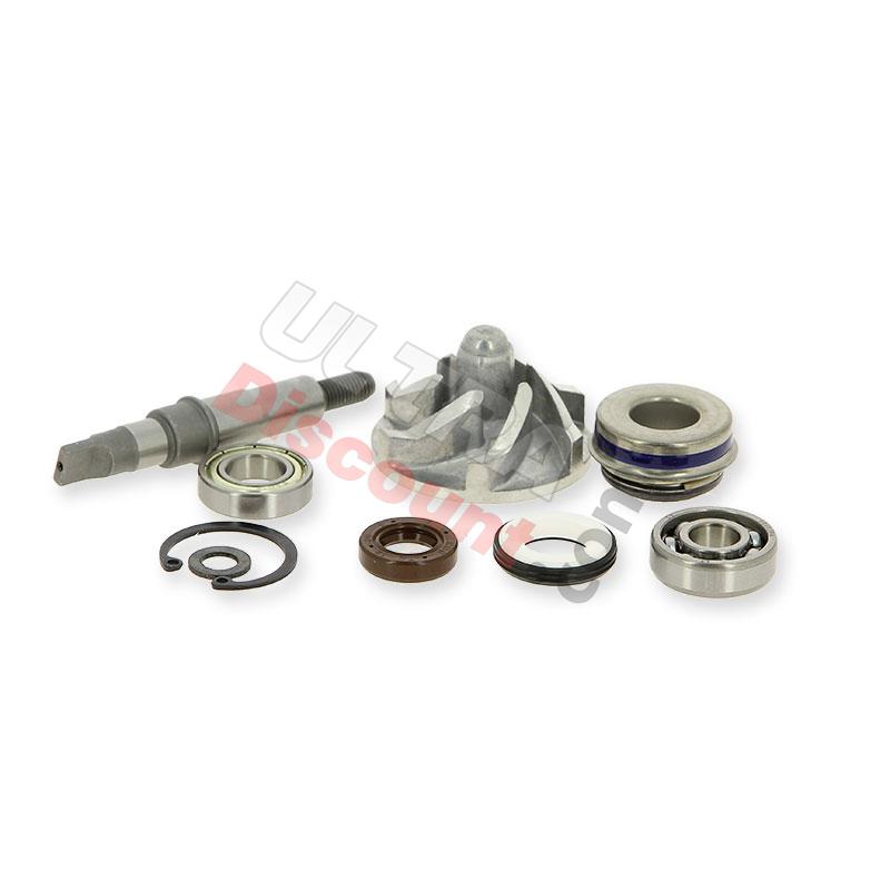 Pompa dell'acqua per Quad Shineray 250cc ST-9E, Ricambi quad 250cc STIXE ST9E