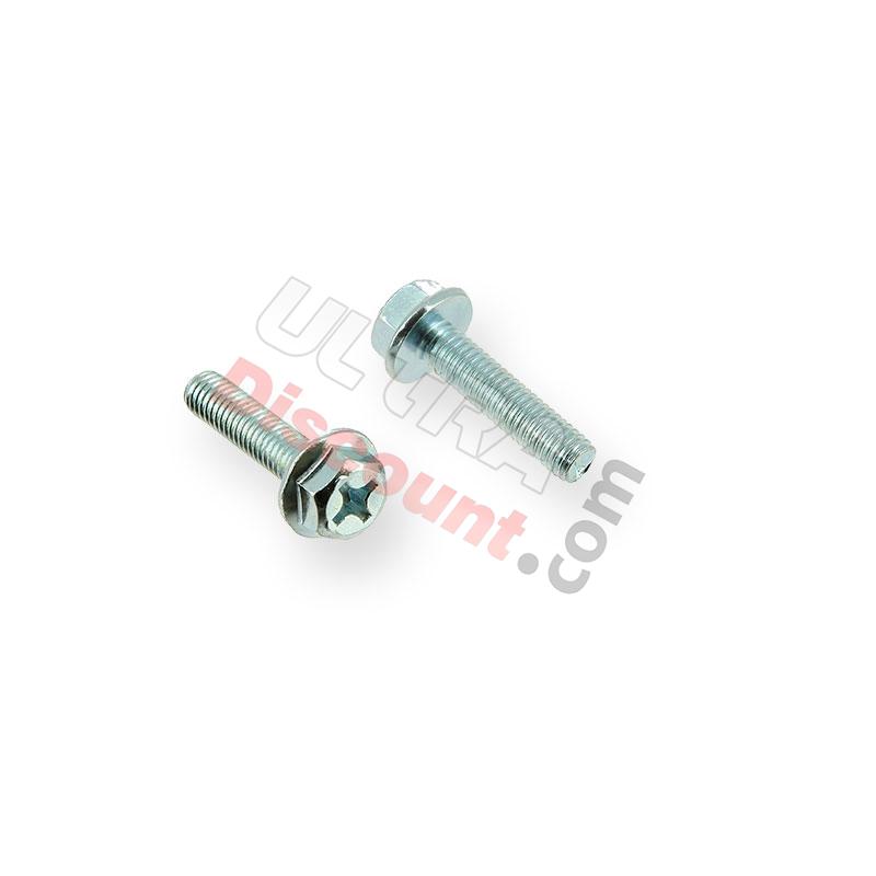 Coppia di viti 6x25 motore Quad, Strumenti e viti