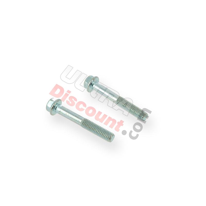 Coppia di viti M6 40mm motore Quad, Strumenti e viti