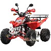 Quad 250cc Omologato su strada (Rosso, 2 posti), Quad 200, 250, 300 cc