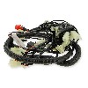 cablaggio elettrico (efi) per Quad Spy Racing 350F3, Ricambi Quad SPY350F3
