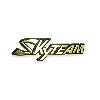 Adesivo in plastica con logo SkyTeam per serbatoio Ace, Ricambi Ace Skyteam
