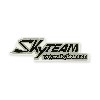 Adesivo SkyTeam per Ace (grigio-nero), Ricambi Ace Skyteam