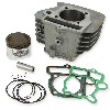 Kit motore 140cc per Pit Bike 125cc Pistone Ø56-13 (1P52FMI), Ricambi Pit Bike