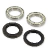 Cuscinetti set per assale posteriore Shineray XY250STXE, Ricambi Shineray 250 STXE