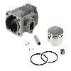 Kit per conversione motore da 47 cc a 49cc per mini moto (asse 10 mm), Ricambi pocket supermoto