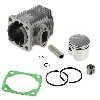 Motore di serie 49cc (perno pistone 12 mm), Ricambi Mini moto cross