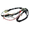 Cablaggio elettrico 36610-17H01 per Skymax 50cc 125cc (prima 10-2015), Ricambi Dax Skymax