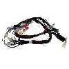Cablaggio elettrico 36610-17H02 per Skymax 50cc 125cc (dopo 10-2015), Ricambi Dax Skymax