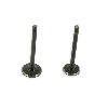 Coppia di valvole per motore di Pit Bike 110cc, Ricambi Pit Bike