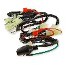 Cablaggio elettrico per Skyteam T-rex 50-125cc (dopo 10-2015), Ricambi Trex Skyteam