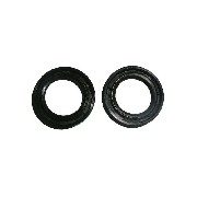 Guarnizione spy per motore di mini moto ZPF