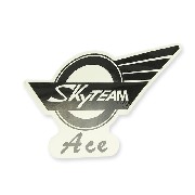 Adesivo SkyTeam Ace per serbatoio Ace (sinistra)