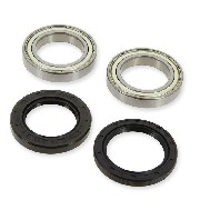 Cuscinetti set per assale posteriore Shineray XY250STXE