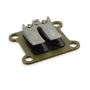 Lamina carbon per mini Dirt Nitro 