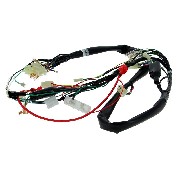 Cablaggio elettrico 36610-17H01 per Skymax 50cc 125cc (prima 10-2015)