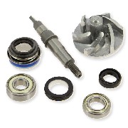 Kit riparazione pompa dell'acqua per Quad Bashan 200cc (BS200S-7) 