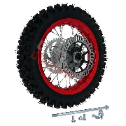 Ruota posteriore 12'' completa per Pit Bike AGB27 (rossa, tacchetti da 12 mm)