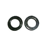 Guarnizione Spy per mini moto Polini 911