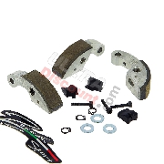 Ganasce in carbonio per frizione a 3 masse Zocchi