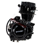 Motore per Quad Shineray 200cc STIIE - STIIE-B 163FML