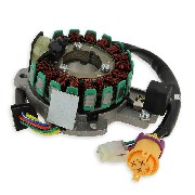 Statore magnetico di avviamento per Quad Bashan 300cc (BS300S-18)
