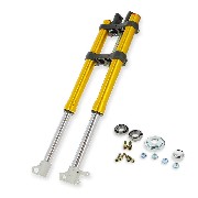 Forcella completa per Pit Bike Alta Gamma (per asse di 12mm, 845 mm)