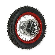 Ruota posteriore 12'' completa per Pit Bike AGB27 Rossa