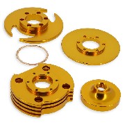 Testata Racing Oro (tipo C)