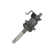 Pignoneria cambio per Quad Shineray 200cc STIIE (tipo 2)