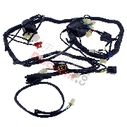 Cablaggio elettrico per Quad Shineray 350cc (XY350ST-2E)