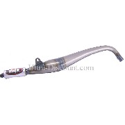 Marmitta Ninja per MT4