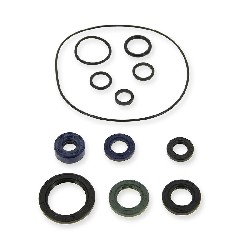 Kit guarnizioni olio 125cc per PBR Skyteam EURO4, Ricambi PBR Skyteam ZB Honda