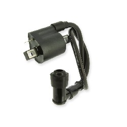 Bobina di avviamento per Quad Spy Racing 250 F3